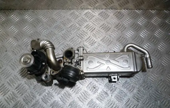 Volkswagen PASSAT B7 EGR valve cooler 184VG0841