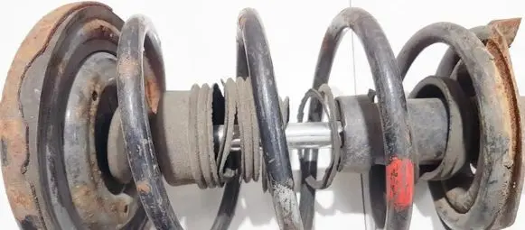 Front coil spring