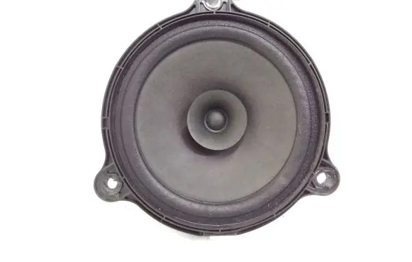 Renault Trafic III (X82) Front door speaker 5574928156