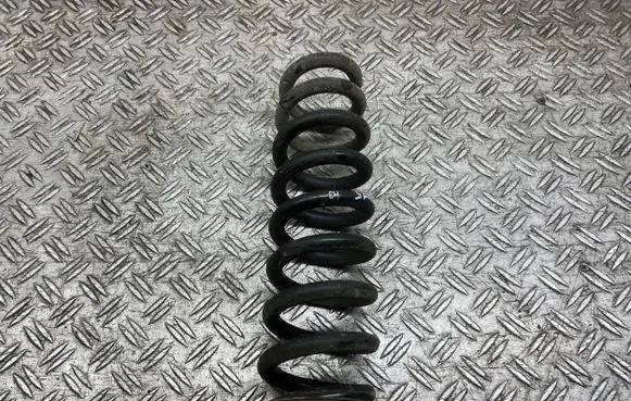 Rear coil spring