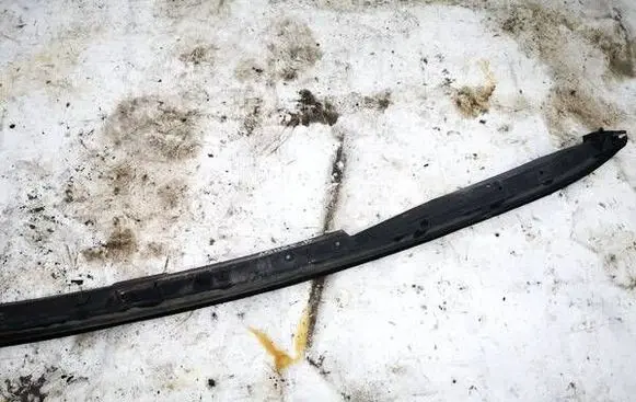 Peugeot 307 Windshield trim 9638958780