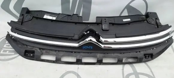 Citroen C3 Front grill