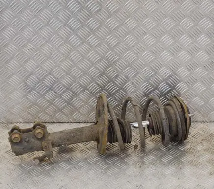 Toyota RAV 4 (XA20) Front shock absorber/damper 4852042190