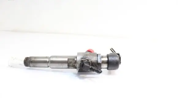 Citroen C2 Fuel injector
