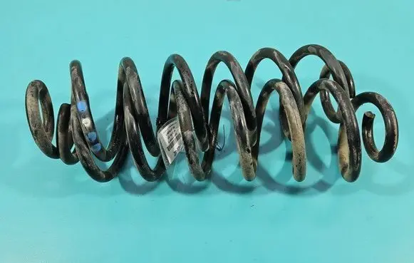 Rear coil spring