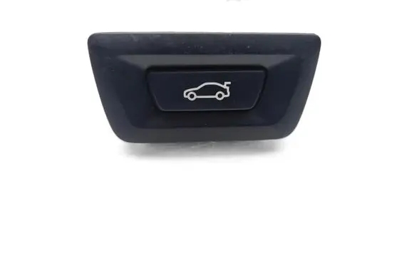 Tailgate opening switch