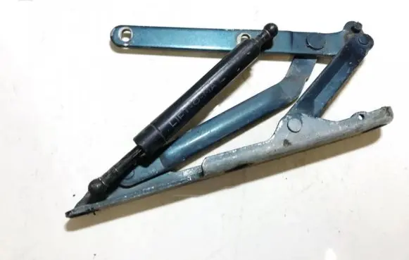 Tailgate/trunk/boot hinge