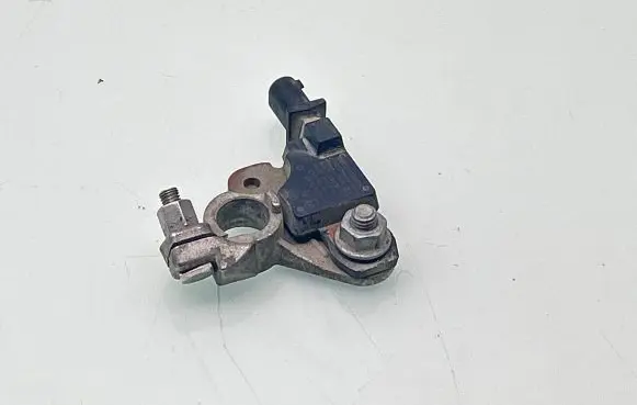 Citroen Berlingo Battery relay fuse 9802043580