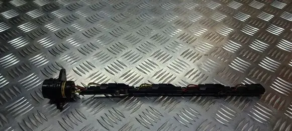 Seat Cordoba (6L) Fuel injector wires 038971803