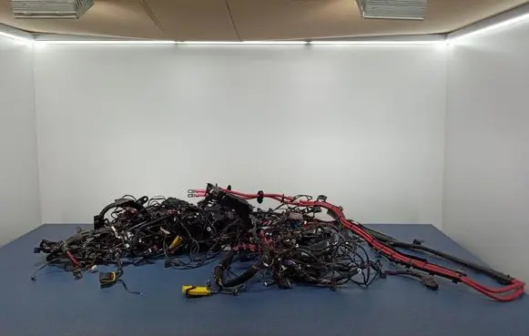 BMW 5 G30 G31 G38 Other wiring loom 