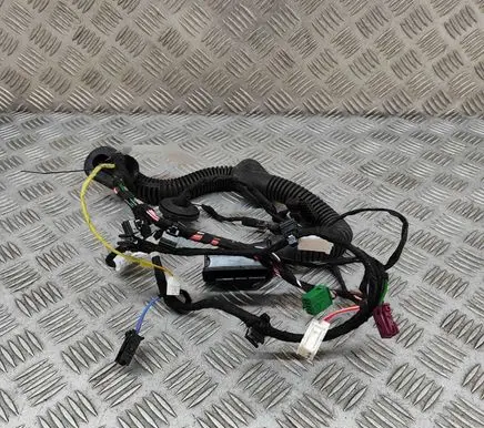Rear door wiring loom