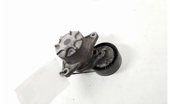 Mercedes-Benz S W220 Timing belt/chain tensioner A6112000570
