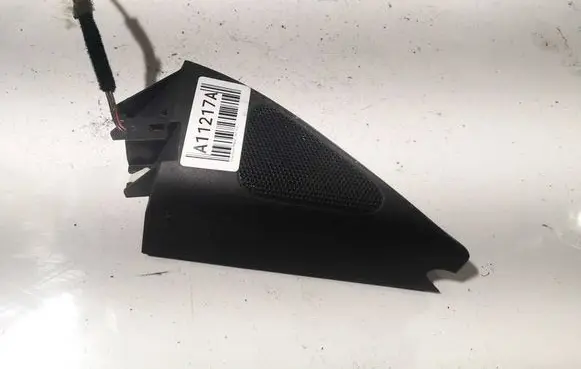 Volkswagen PASSAT B6 Side speaker trim/cover 