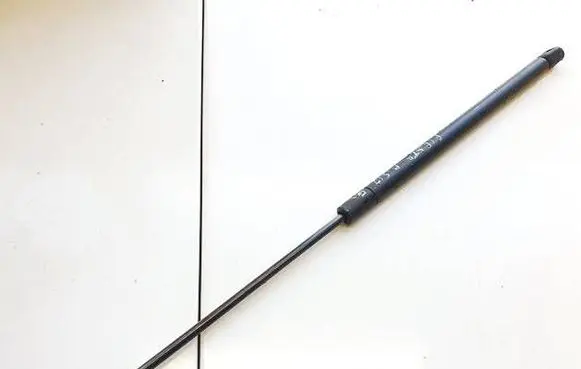 Tailgate/trunk strut/damper