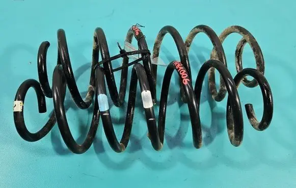 Rear coil spring