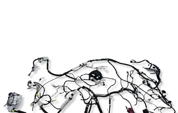 Toyota RAV 4 (XA50) Wiring harness 