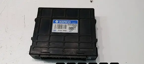 Hyundai Santa Fe Engine control unit/module 9544039660