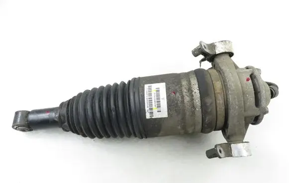 Porsche Cayenne (92A) Rear shock absorber/damper 7P5616019P