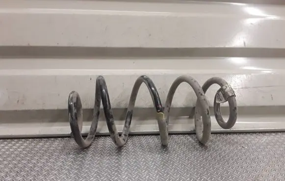 Fiat Tipo Rear coil spring 