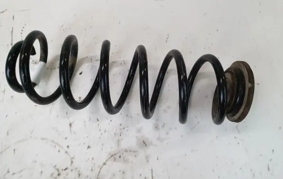 Volkswagen PASSAT B6 Rear coil spring