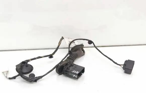 Rear door wiring loom