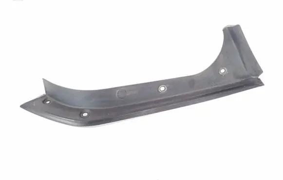 Rear/tail light trim molding