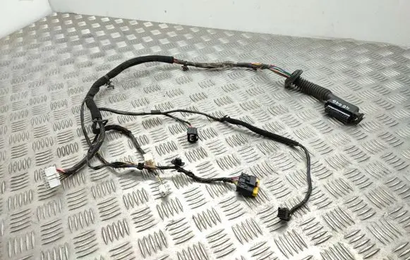 Front door wiring loom