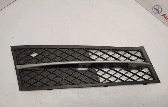 BMW 5 F10 F11 Front bumper lower grill 51117200700