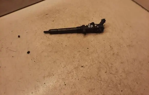 Citroen C5 Fuel injector 0445110036
