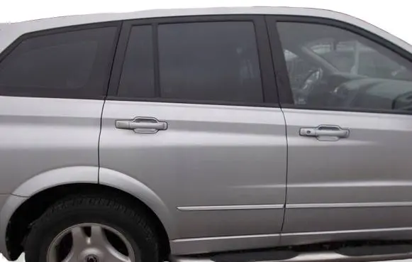 SsangYong Kyron Rear door 