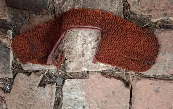 Mercedes-Benz W123 Front floor mat 