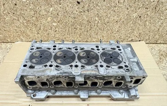 Fiat 500L Engine head 55231550