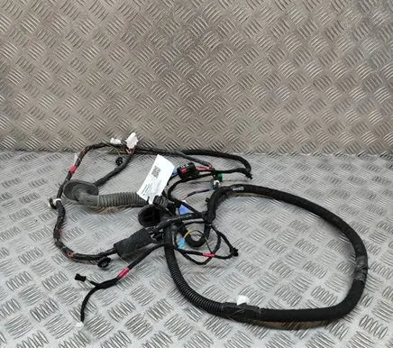Front door wiring loom