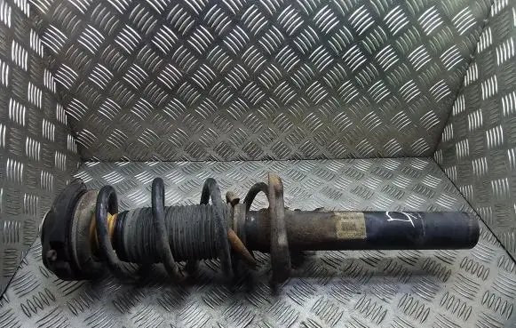 Front shock absorber with coil spring