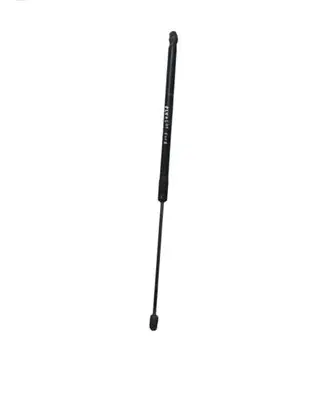 Tailgate/trunk strut/damper