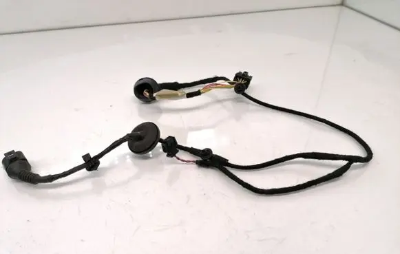 Volkswagen PASSAT B5 Rear door wiring loom 3B0971161K