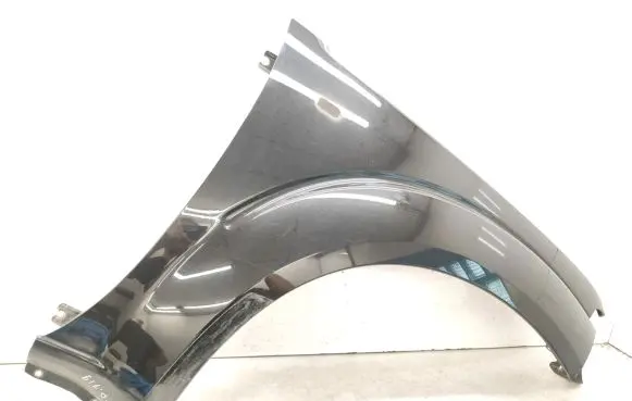 Nissan Pathfinder R51 Fender