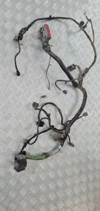 Ford Maverick Engine installation wiring loom