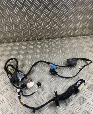 Audi Q5 SQ5 Front door wiring loom 80A971030