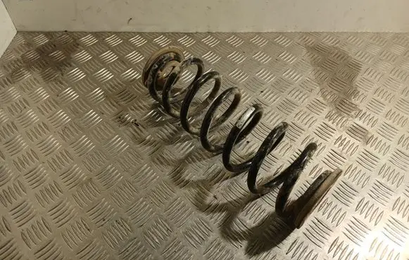 Rear coil spring