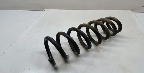 Front coil spring