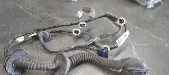Renault Scenic III - Grand scenic III Rear door wiring loom 