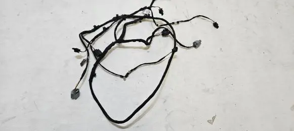 Volkswagen PASSAT B7 Parking sensor (PDC) wiring loom 3AA971095AQ