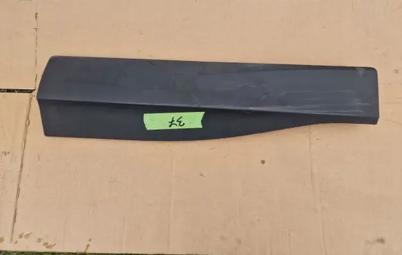 Ford Mustang Mach-E Rear door trim (molding) LJ8BR25334ABW LJ8BR25334BAW