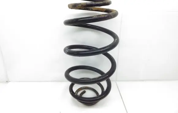 Rear coil spring