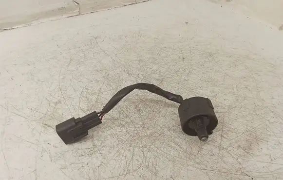 Sensor