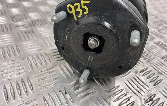 Toyota Mirai II Front shock absorber/damper 4851062020