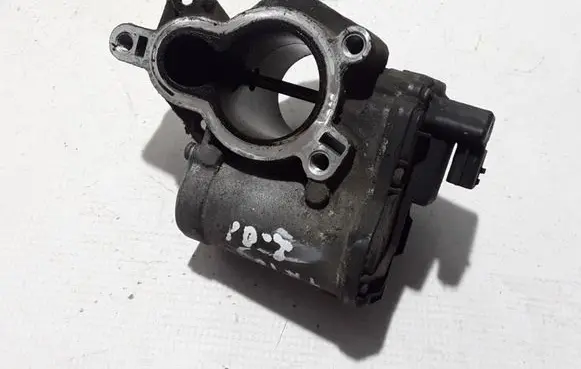 Renault Trafic II (X83) EGR valve 8200796674