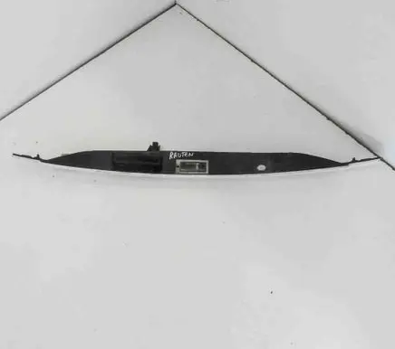 Volkswagen Routan Number plate light 15765000004