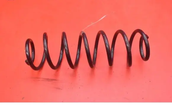 Skoda Fabia Mk3 (NJ) Rear coil spring